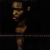 lynden_david_hall-medicine_4_my _pain